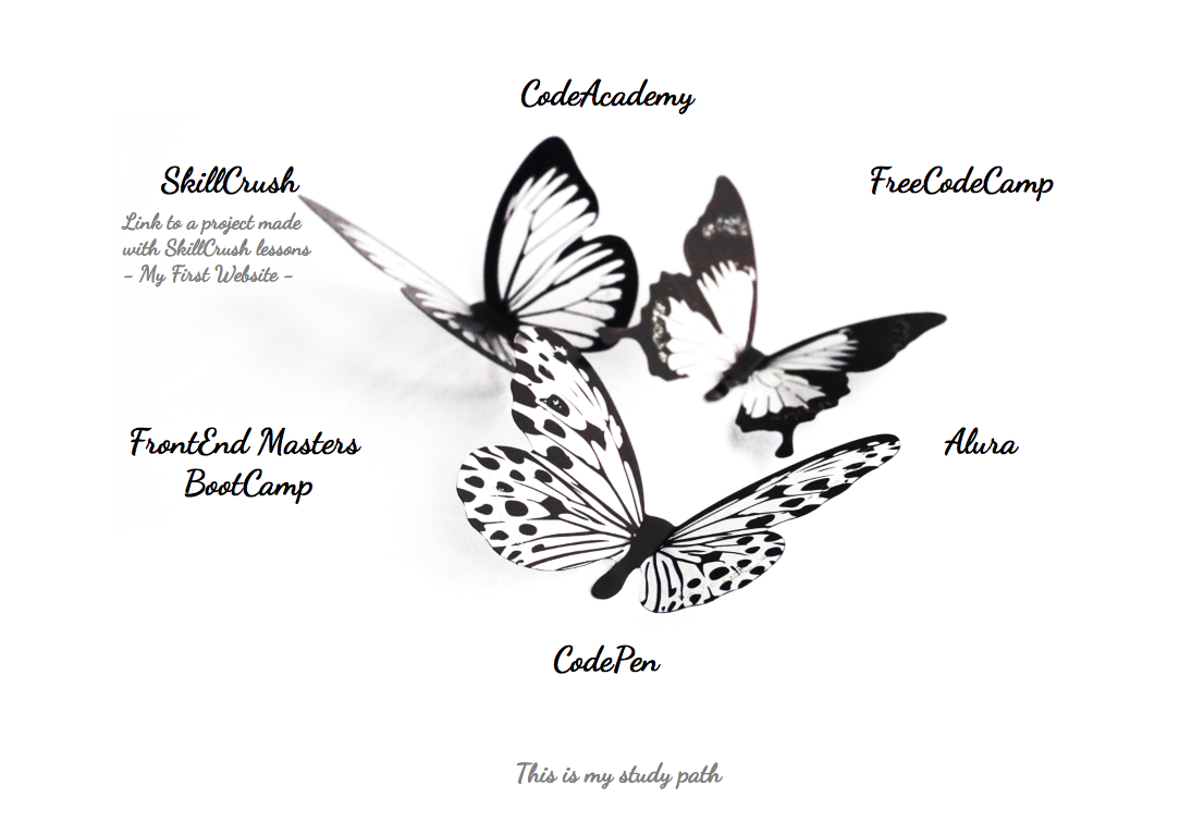 My Study Path website preview image